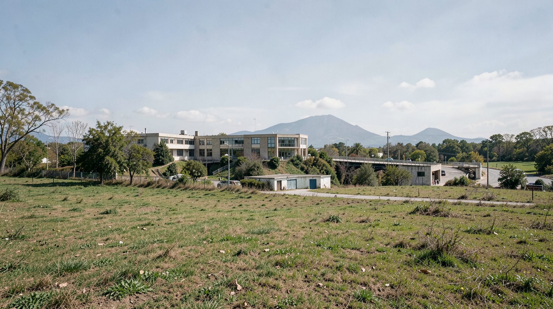 # Wolfgang Kubicki kandidiert für FDP-Vorsitz und will Partei retten